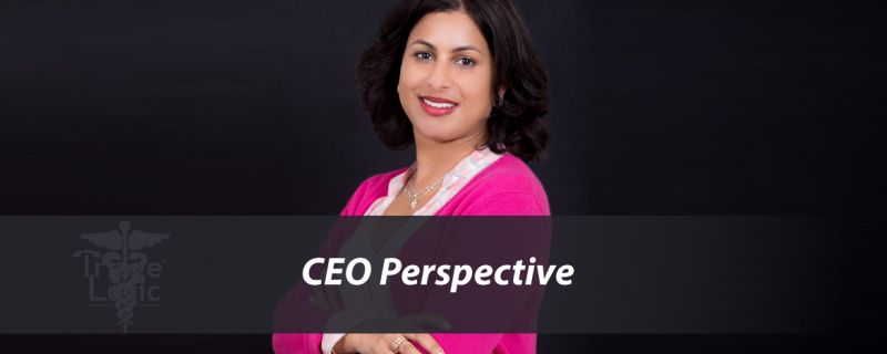 CEO Perspective