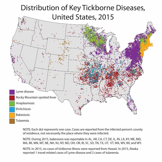 Mosquito and Tickborne Diseases: Triage Nurses Can Educate and Evaluate ...