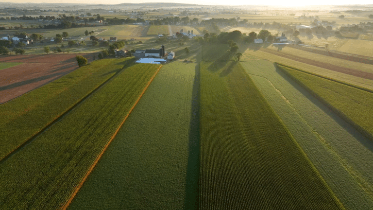 Farmland in rural America.